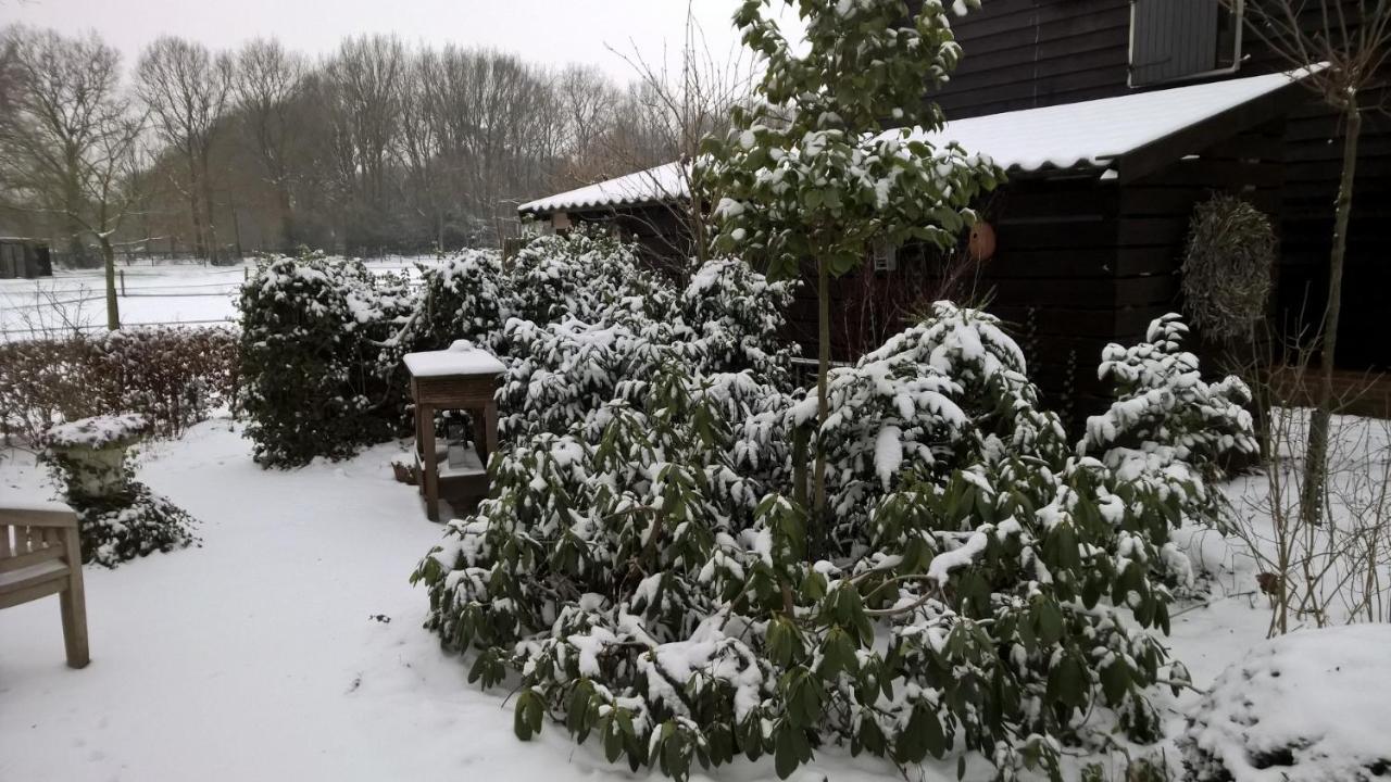 Вилла Hoeve Den Anholt Ruinen Экстерьер фото