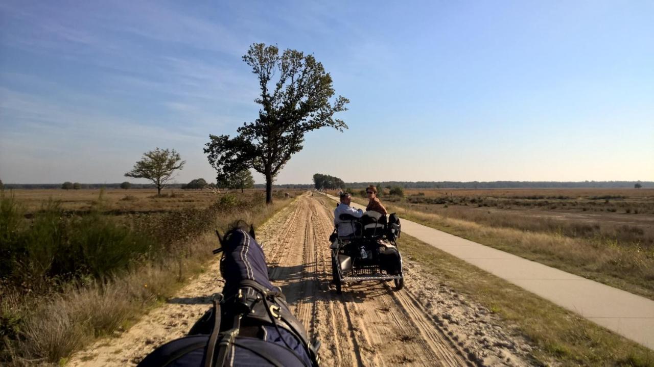 Вилла Hoeve Den Anholt Ruinen Экстерьер фото