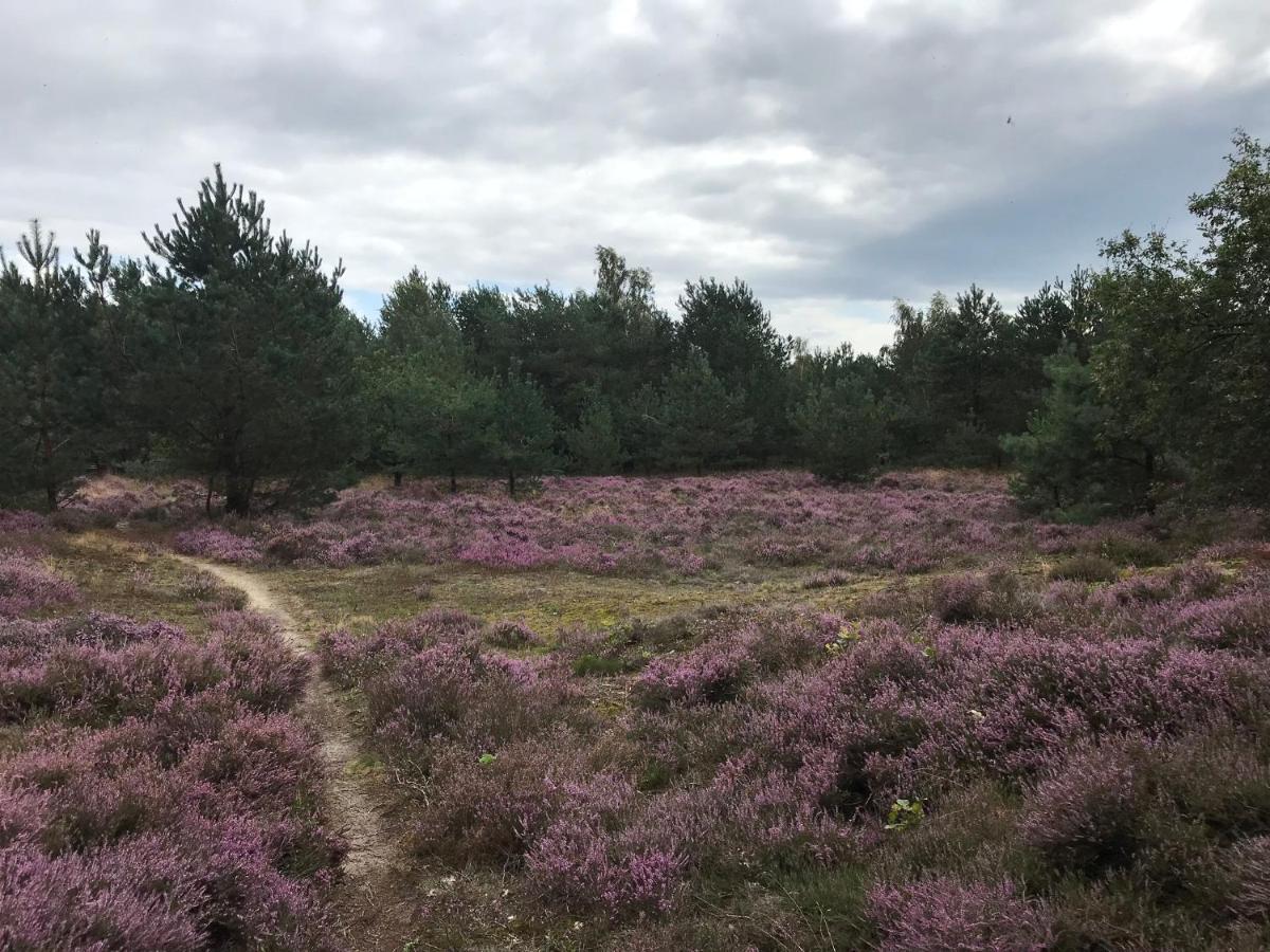 Вилла Hoeve Den Anholt Ruinen Экстерьер фото
