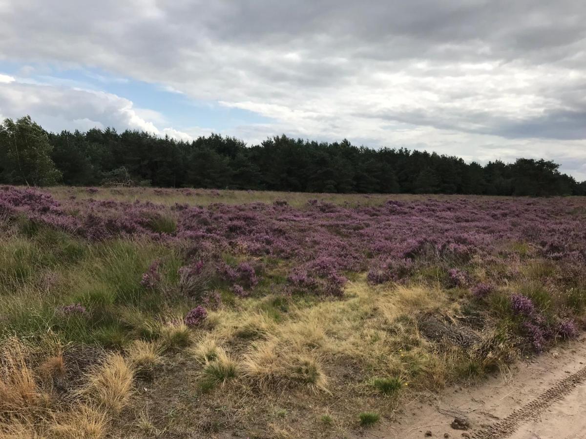 Вилла Hoeve Den Anholt Ruinen Экстерьер фото
