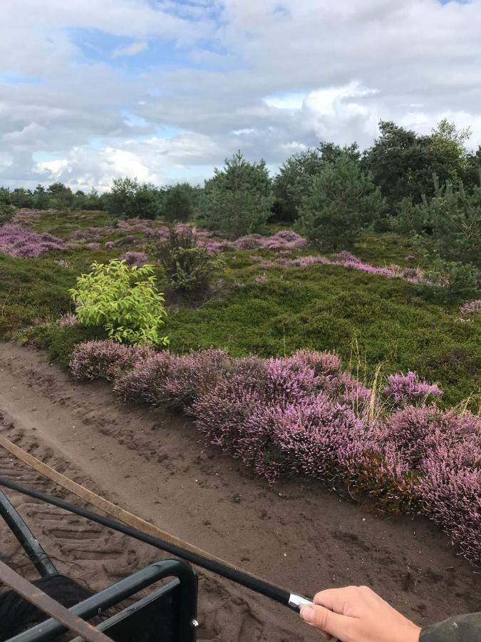 Вилла Hoeve Den Anholt Ruinen Экстерьер фото