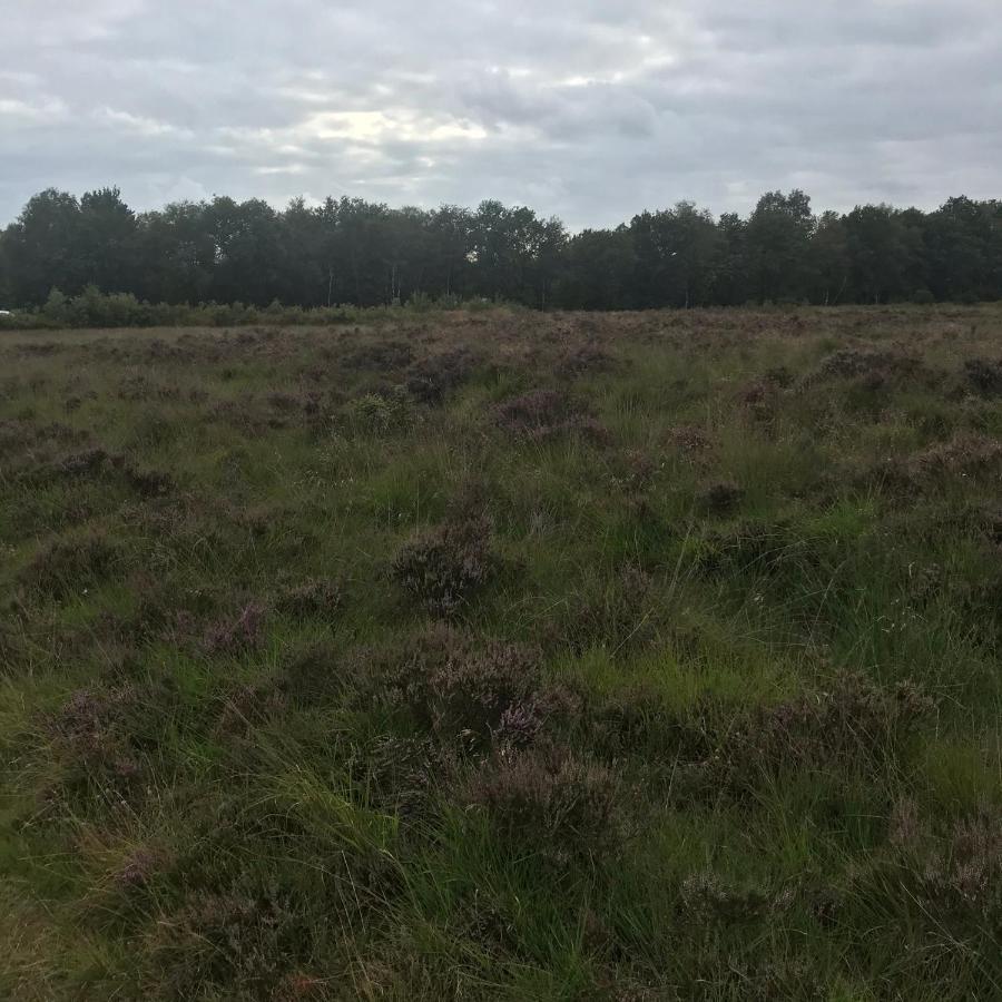 Вилла Hoeve Den Anholt Ruinen Экстерьер фото