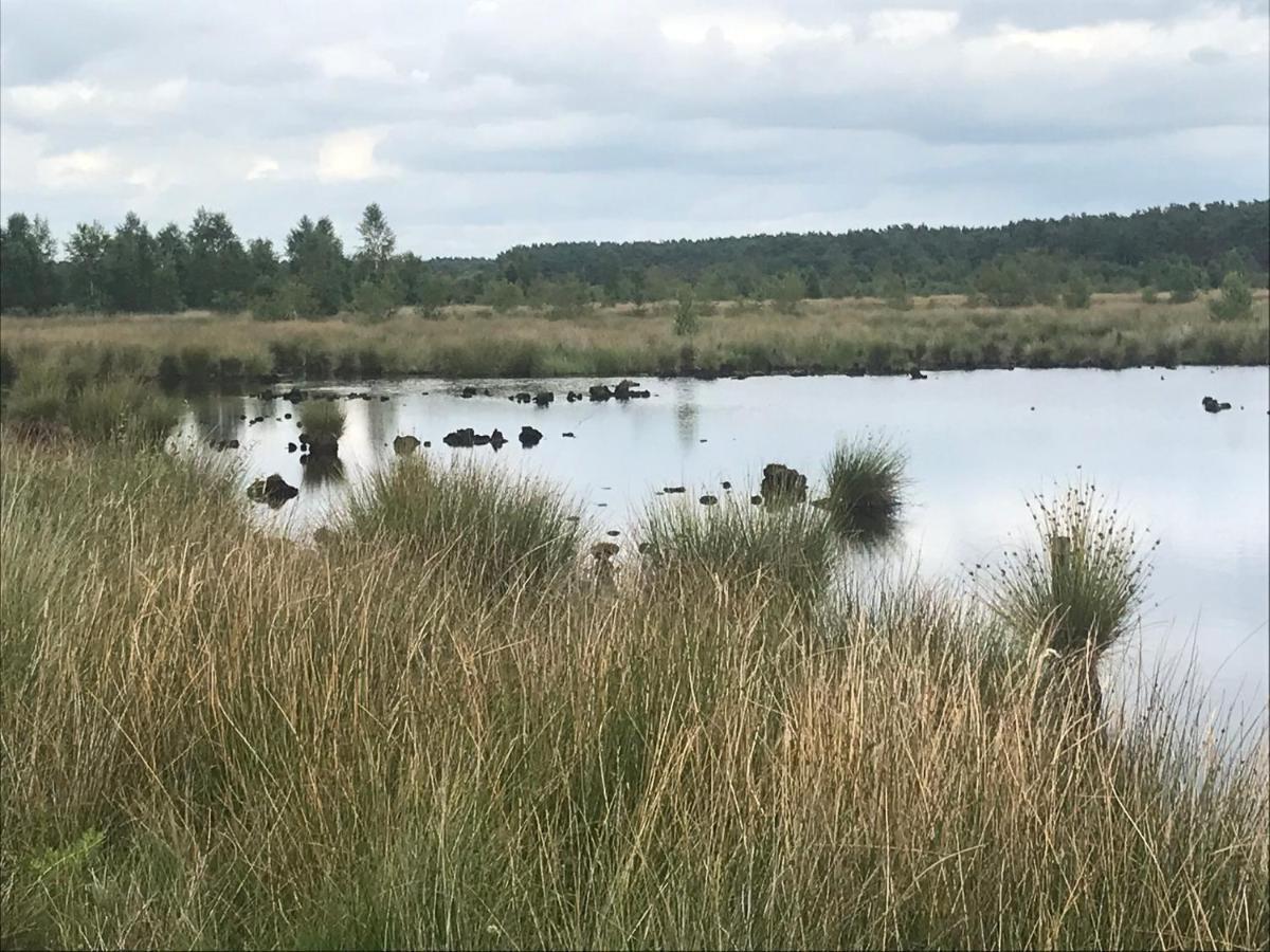 Вилла Hoeve Den Anholt Ruinen Экстерьер фото