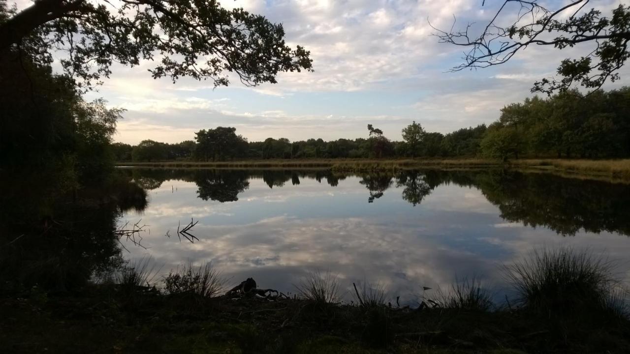 Вилла Hoeve Den Anholt Ruinen Экстерьер фото